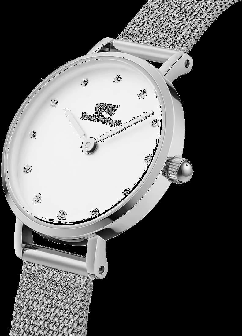 Montre Daniel Wellington DW00100602 28mm boîtier acier fermoir clip profil