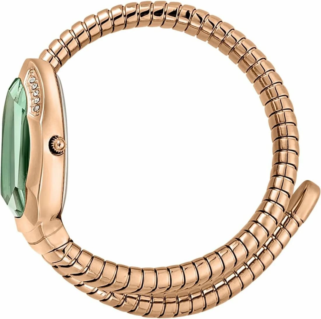 Montre Just Cavalli JC1L208M0055 femme détail cadran vert
