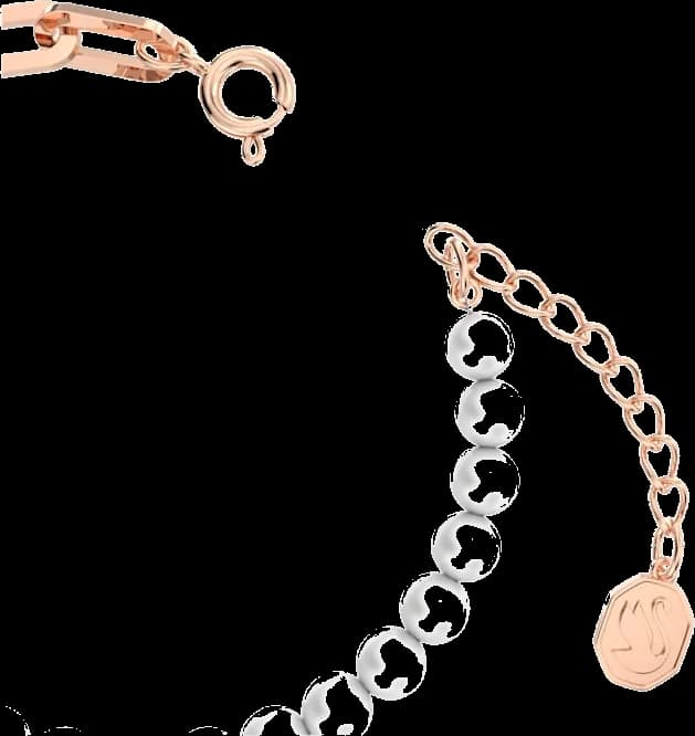 Montre Swarovski 5645461 femme détail cadran