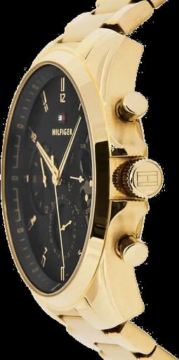 Montre Tommy Hilfiger 1710447 homme vue de profil