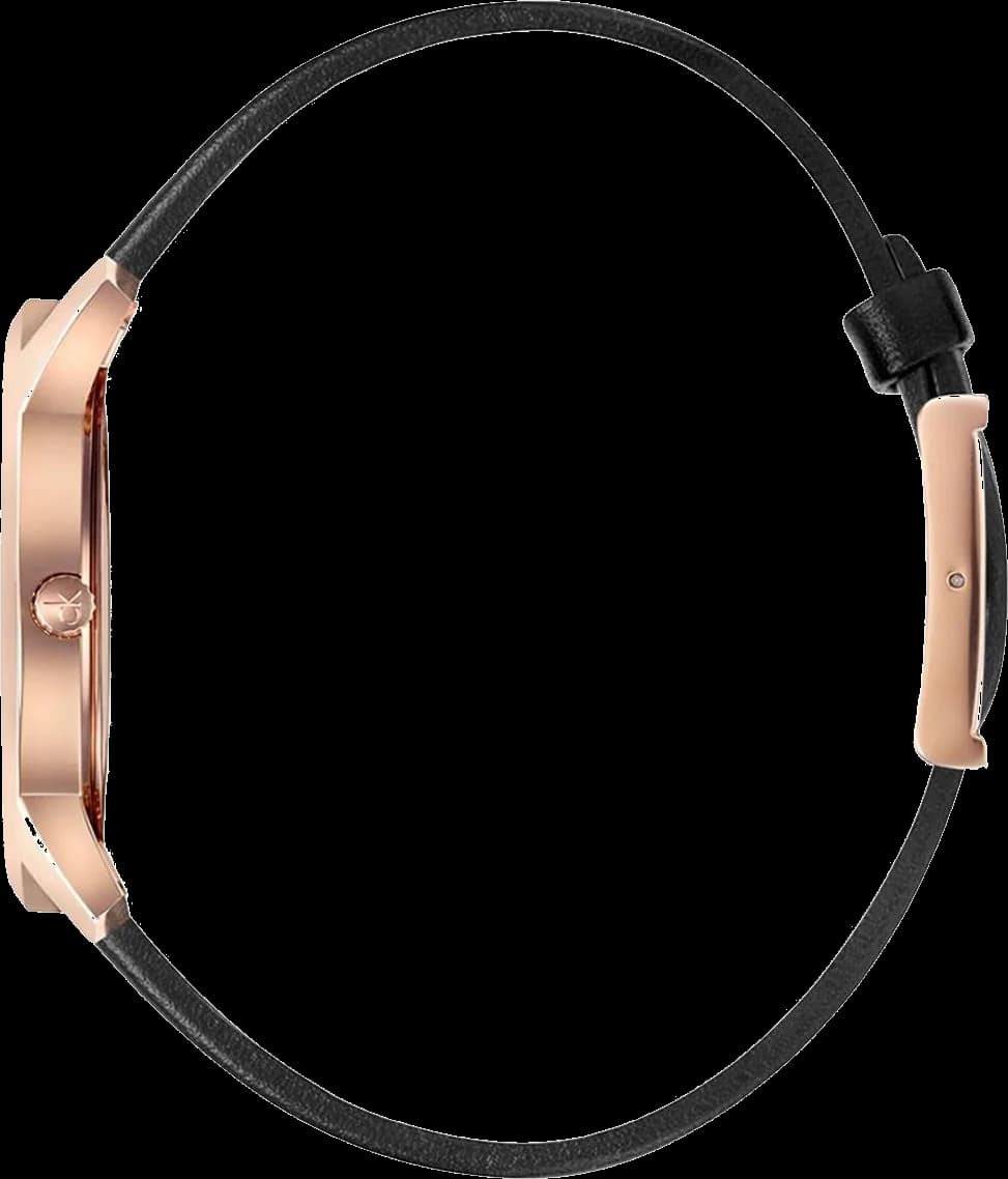 Montre Calvin Klein K2G2G6CZ homme vue de profil
