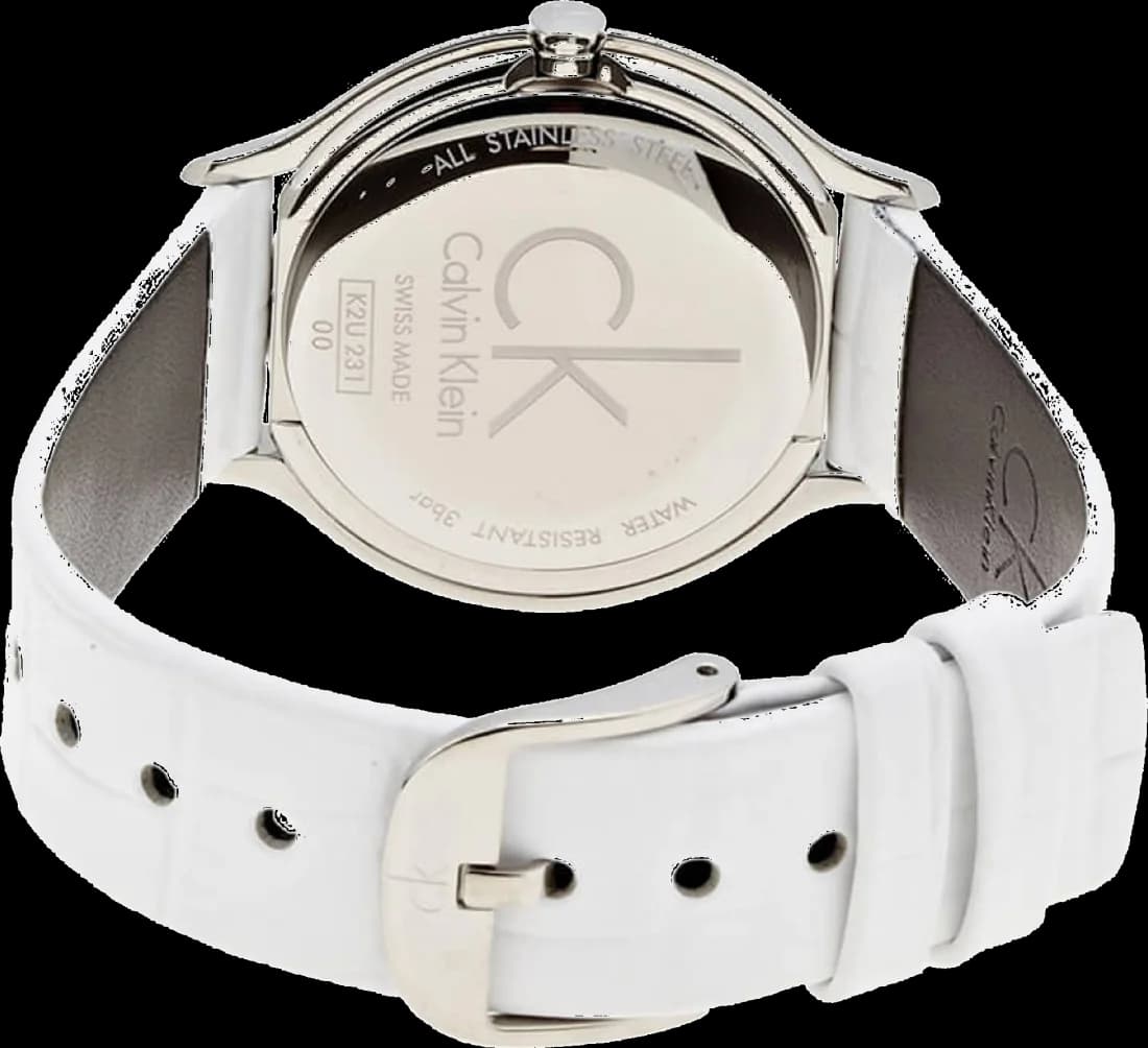 Montre Calvin Klein K2U231K6 femme détail cadran argent