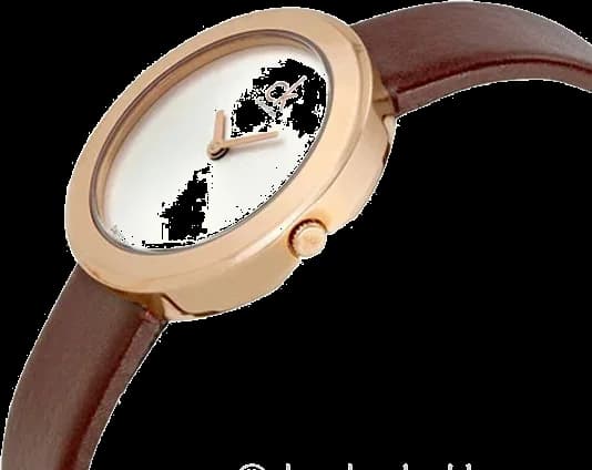 Montre Calvin Klein K3N236G6 femme vue de profil
