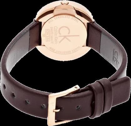 Montre Calvin Klein K3N236G6 femme détail cadran argent