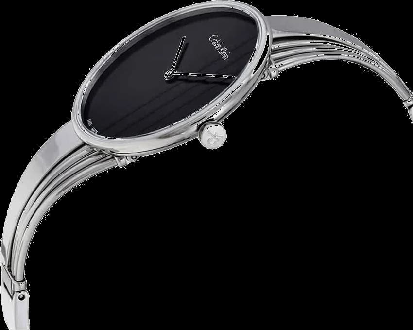 Montre Calvin Klein K6S2N111 femme vue de profil