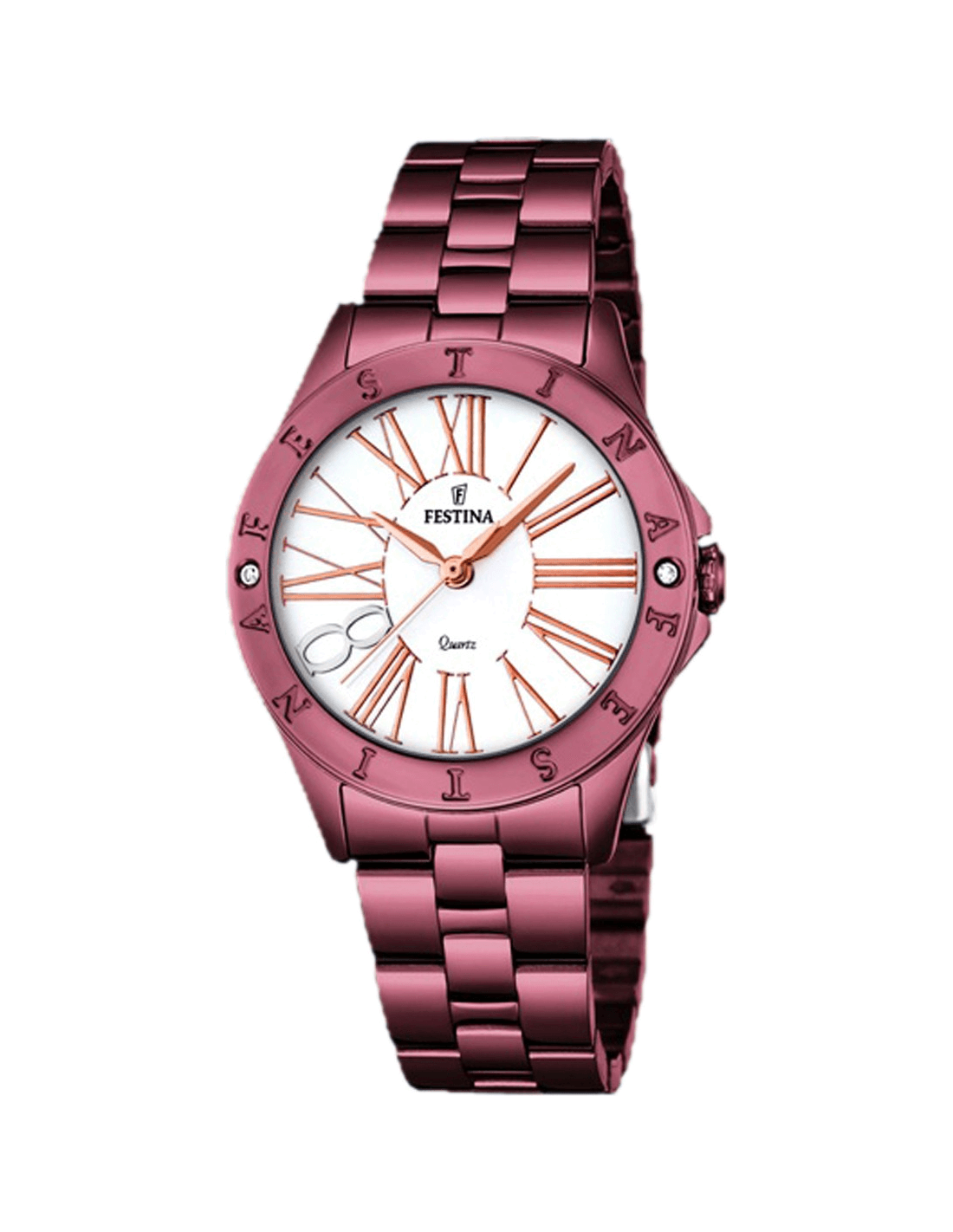 Montre Femme Festina Boyfriend F16928/1 Marron