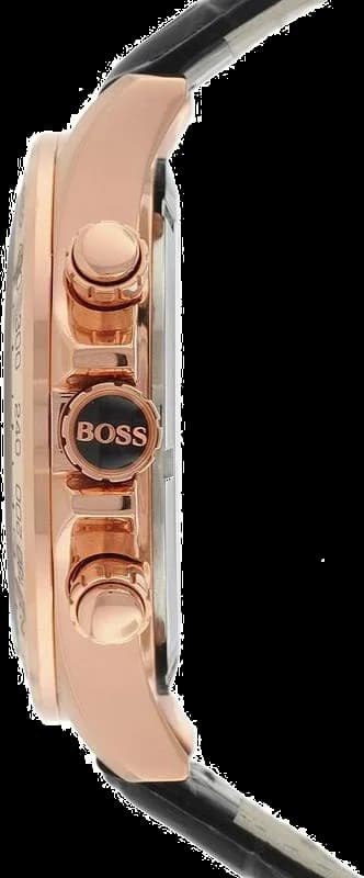 Montre Hugo Boss 1513179 homme vue de profil