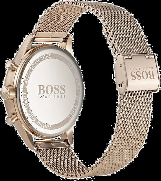 Montre Hugo Boss 1513548 homme vue de profil