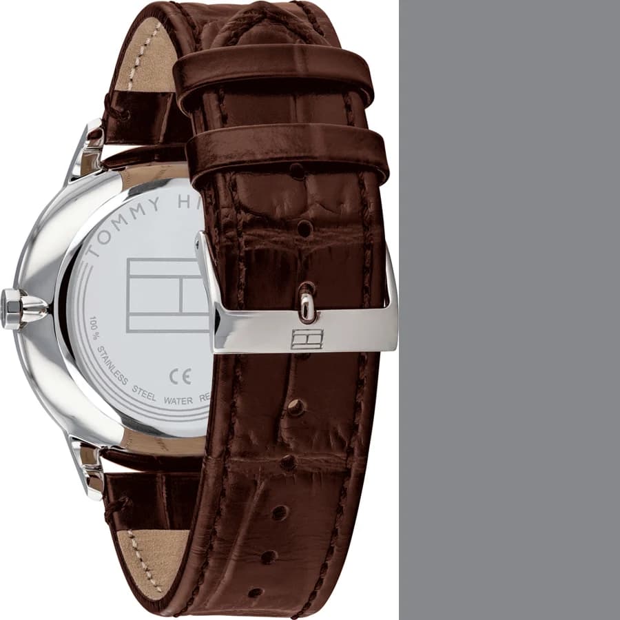 Montre Tommy Hilfiger 1710389 homme détail cadran argent
