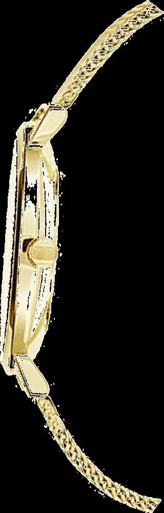 Montre femme Tommy Hilfiger Jenna 1781943 profil acier inoxydable doré 38mm