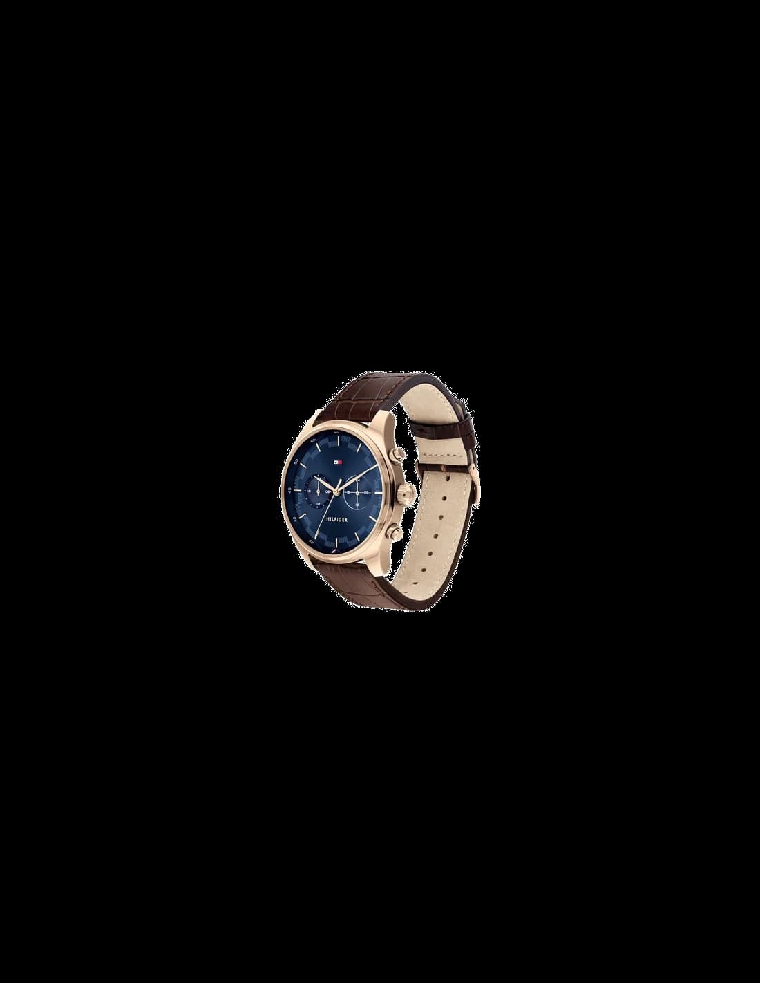 Montre Tommy Hilfiger 1791549 homme vue de profil