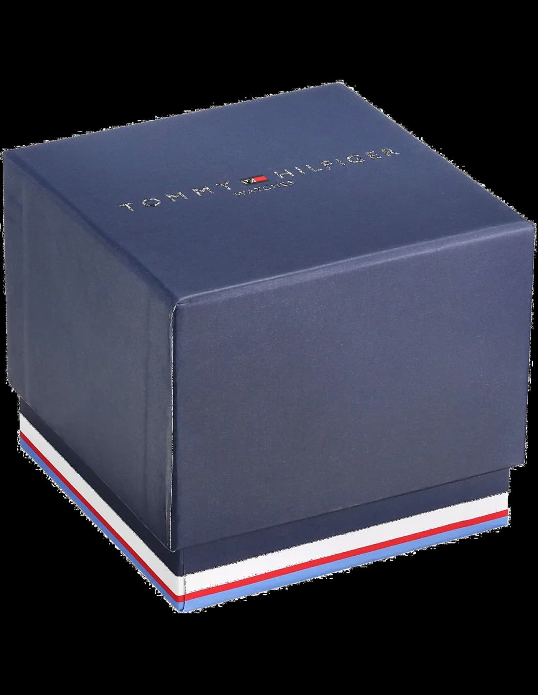 Montre Tommy Hilfiger 1791612 homme détail cadran bleu