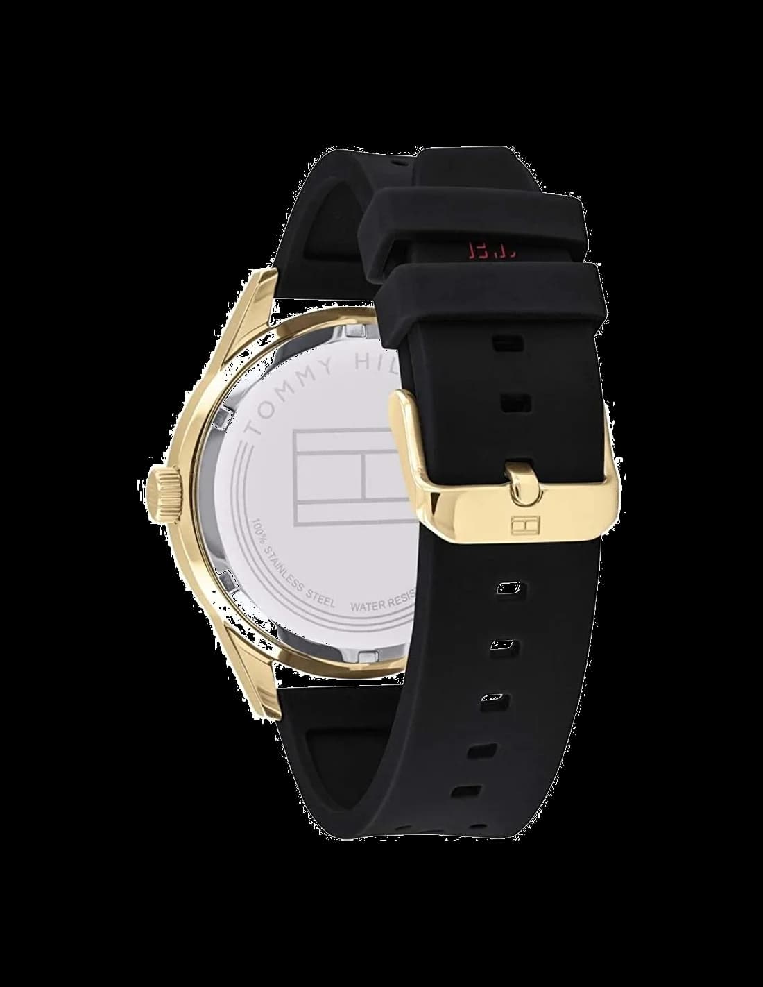 Montre Tommy Hilfiger 1791636 homme vue de profil