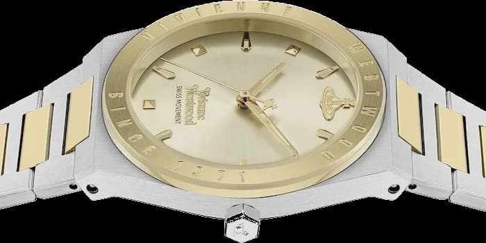 Montre Vivienne Westwood VV244CPSG femme détail bracelet acier inoxydable