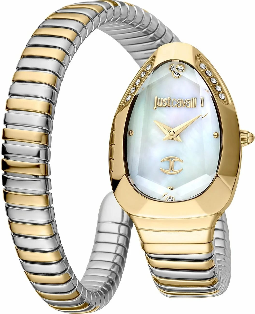 Just Cavalli Montre Just Cavalli JC1L208M0065 Bicolore Cadran Nacre