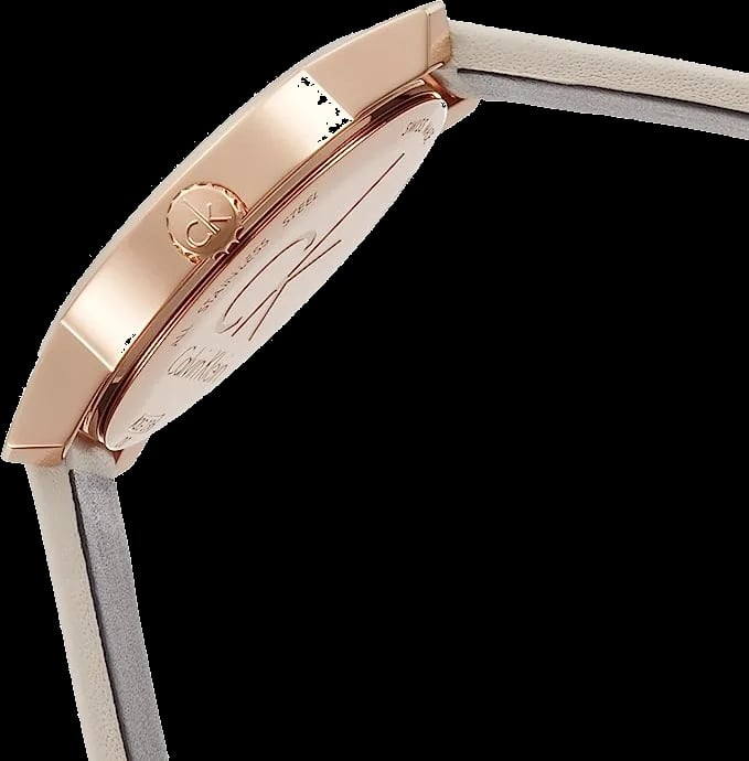 Montre Calvin Klein K2G236X6 femme vue de profil