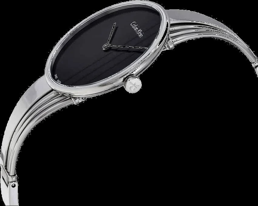 Montre Calvin Klein K6S2N111 femme vue de profil
