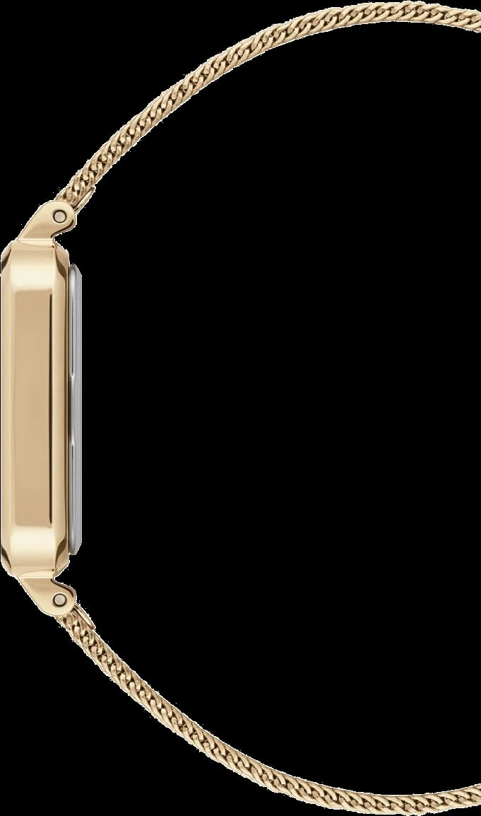 Montre Daniel Wellington DW00100485 femme détail cadran doré
