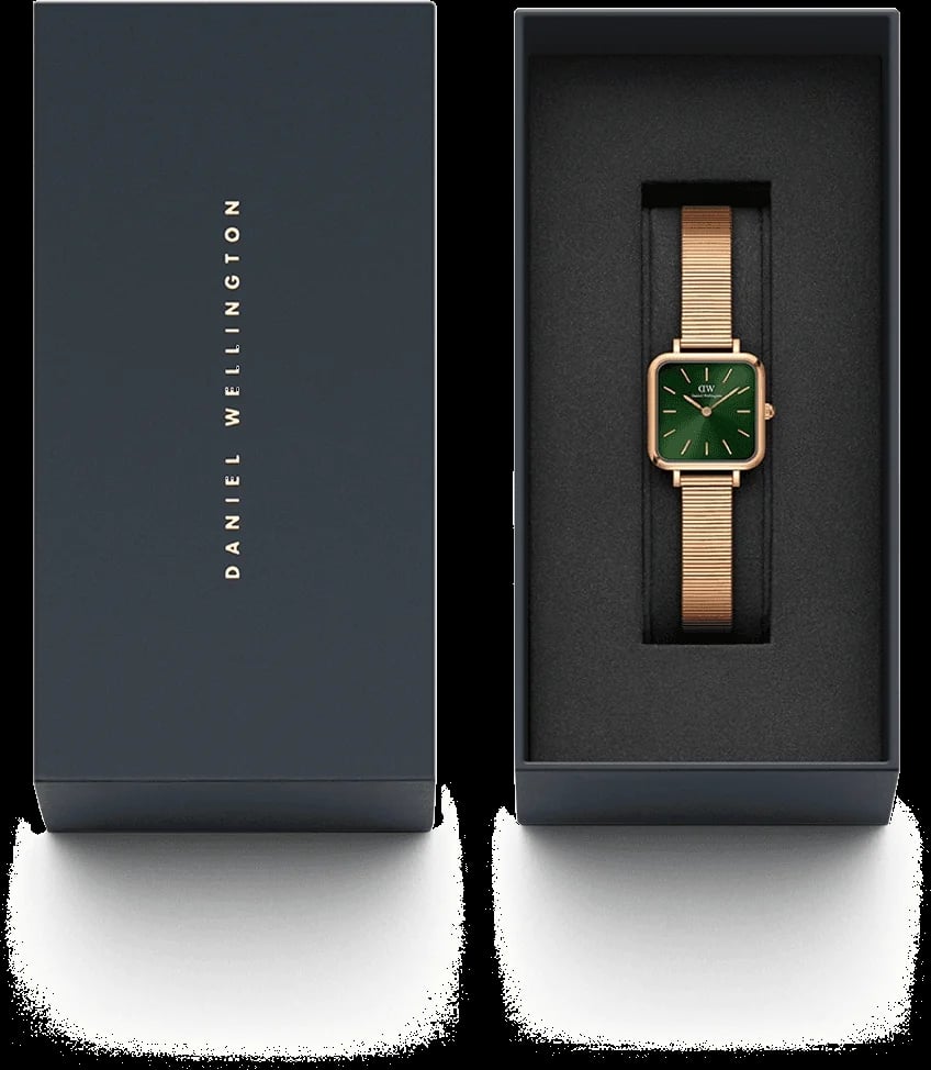 Montre Daniel Wellington DW00100519 femme détail bracelet acier inoxydable