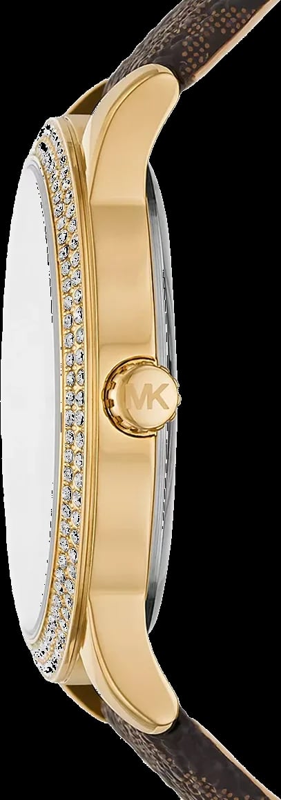 Montre Michael Kors MK6966 femme détail cadran argent