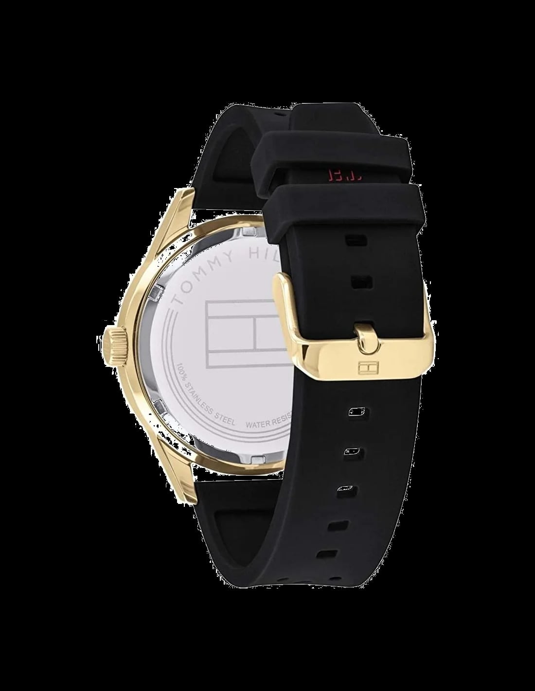 Montre Tommy Hilfiger 1791636 homme vue de profil