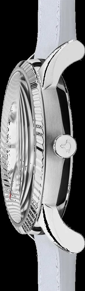 Montre Vivienne Westwood VV240SLLC femme détail cadran blanc