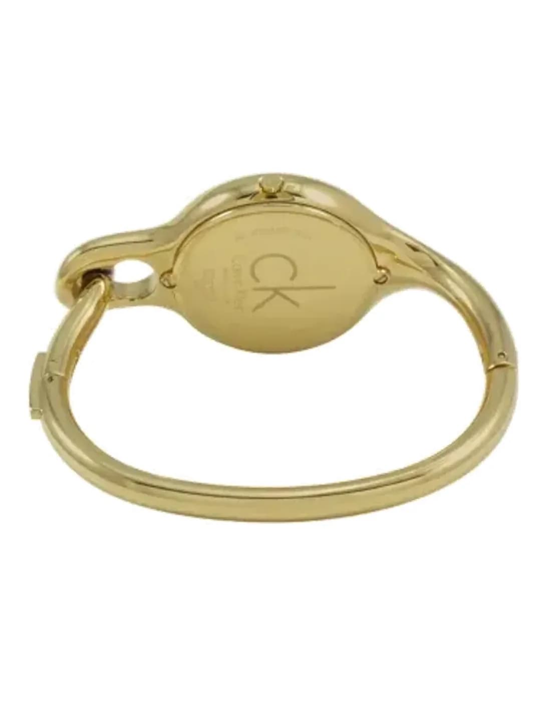 Montre Femme Calvin Klein Air K1N23526 Or