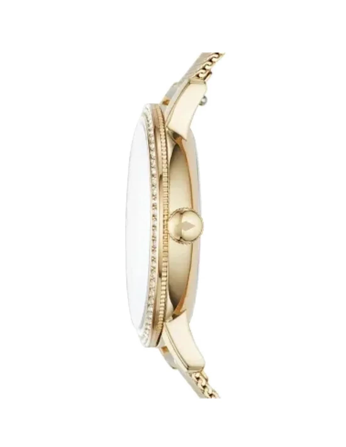 Montre Femme Fossil Neely ES4366