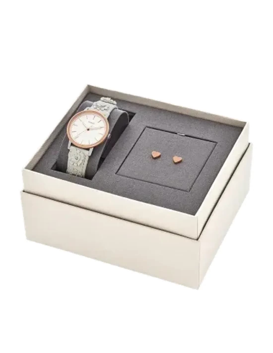 Montre Femme Fossil Neely ES4383SET