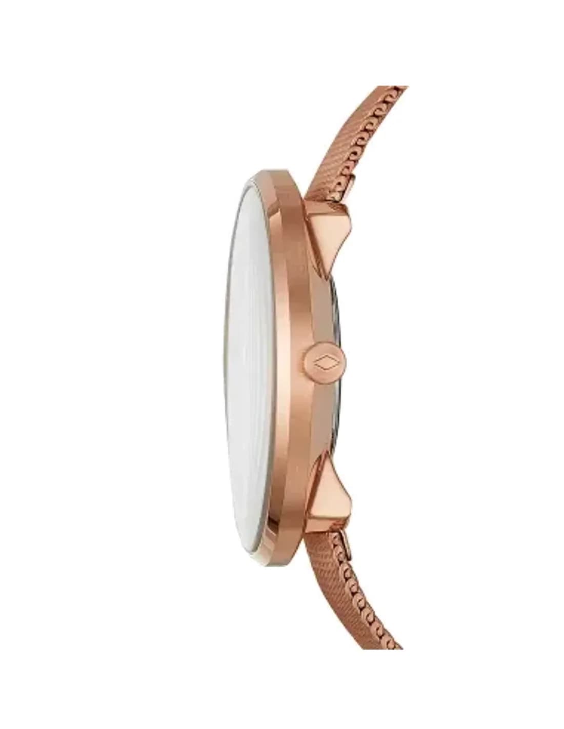 Montre Femme Fossil Essentialist ES4425