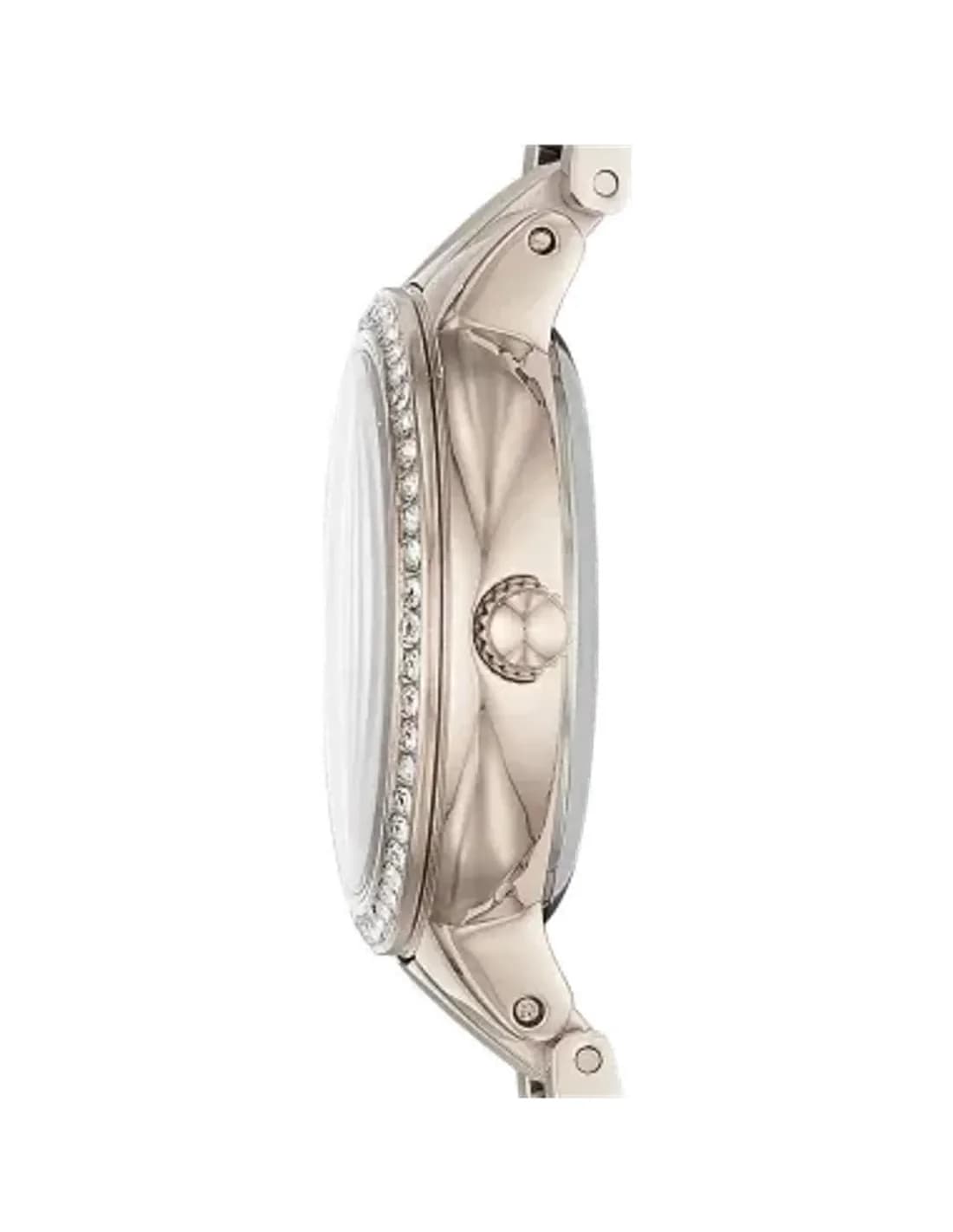 Montre Femme Fossil Virginia ES4482