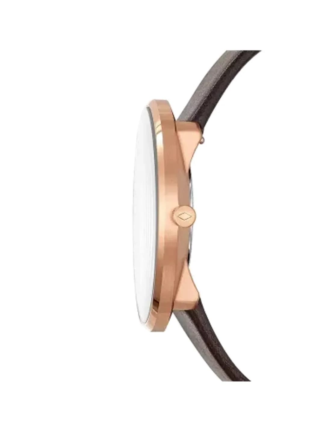 Montre Homme Fossil The Essentialist FS5472