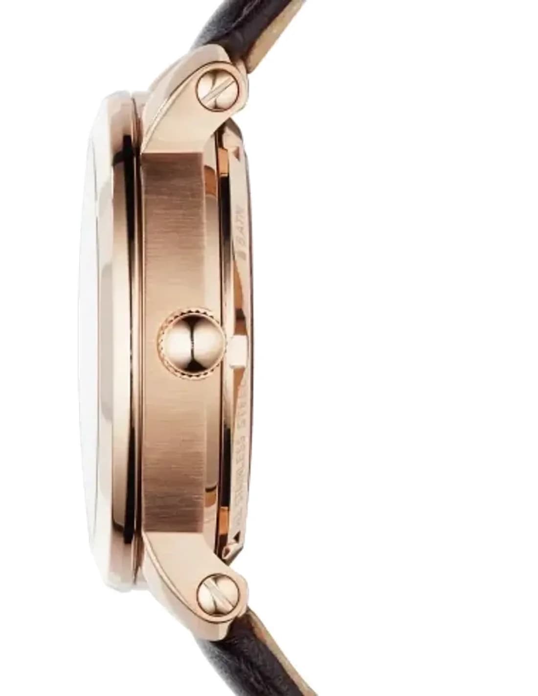 Montre Femme Fossil Wakefield LE1039 Marron