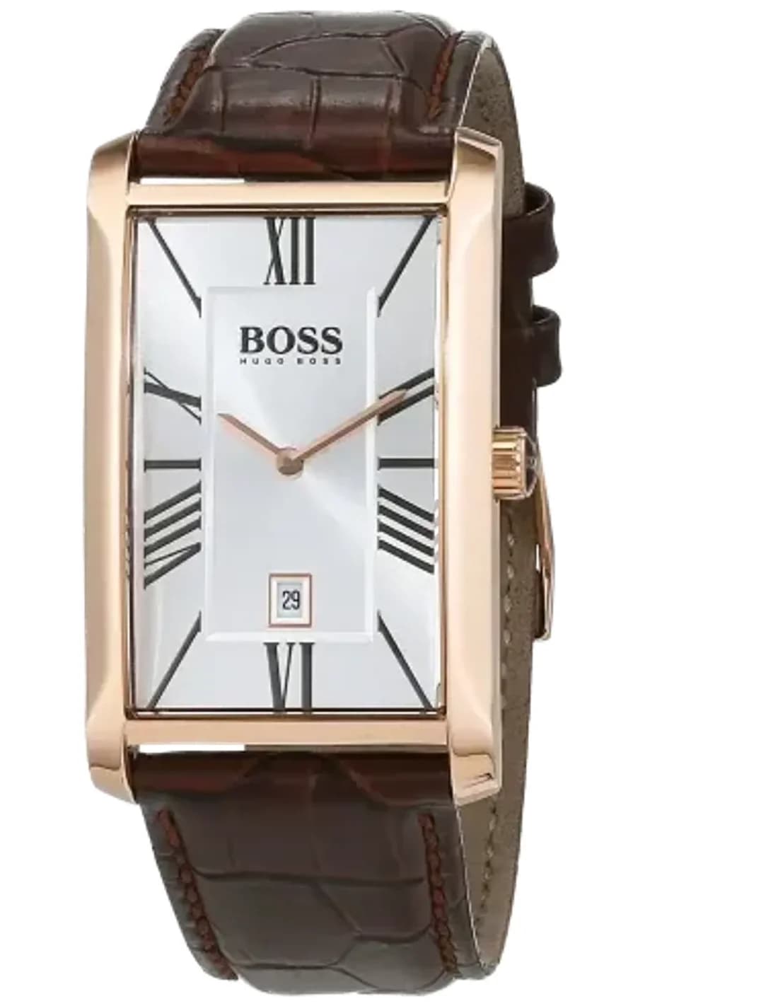 Montre Homme Hugo Boss 1513436 Marron