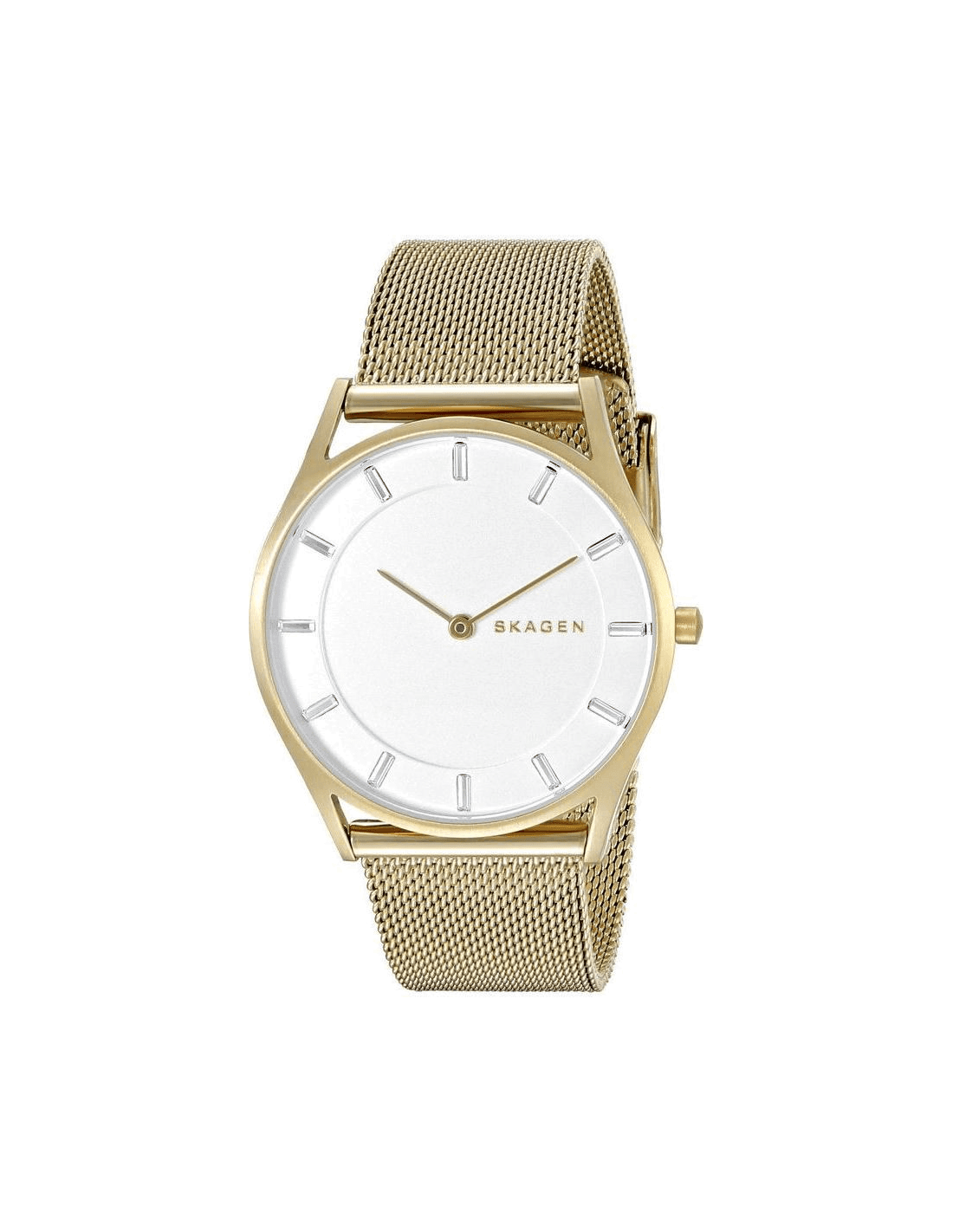 Montre Femme Skagen SKW2377 Bracelet en Maille Milanaise Grise