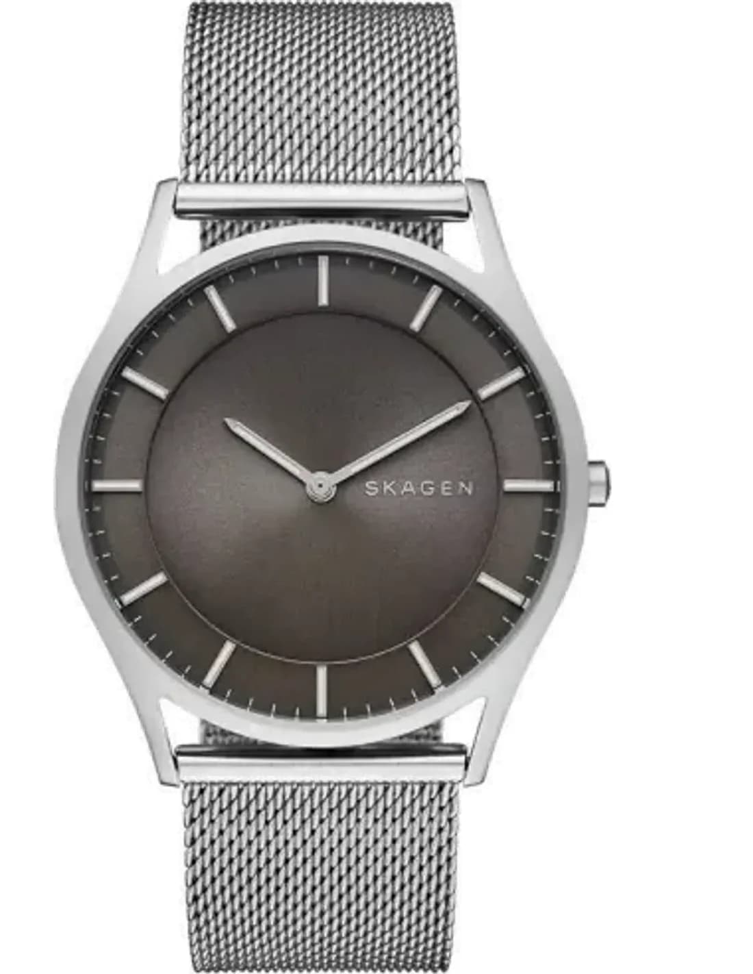 Montre Homme Skagen SKW6239 Argentée à Maille Milanaise