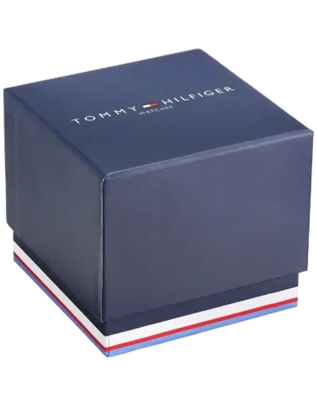 Montre Homme Tommy Hilfiger Liam 1710358