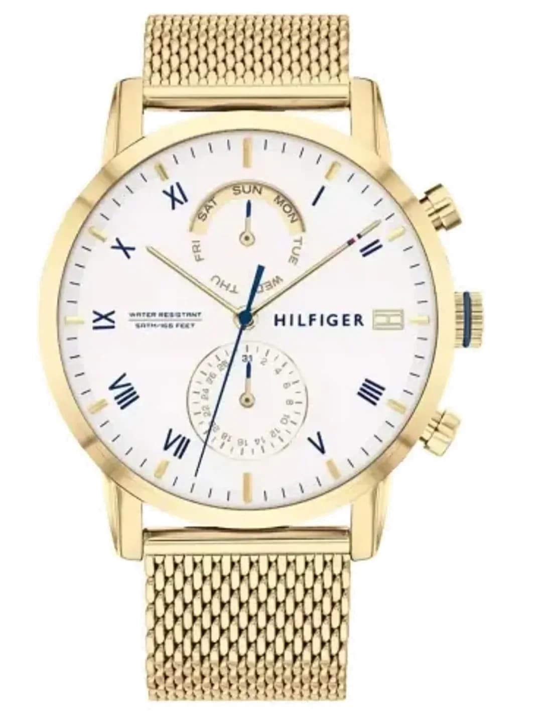 Montre Homme Tommy Hilfiger Kane 1710403