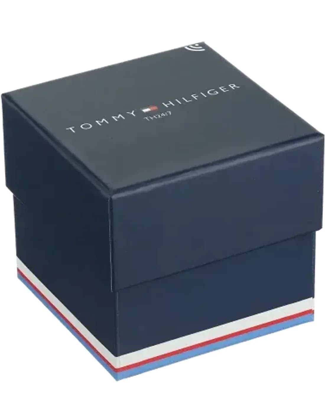 Montre Homme Tommy Hilfiger Damon 1791418