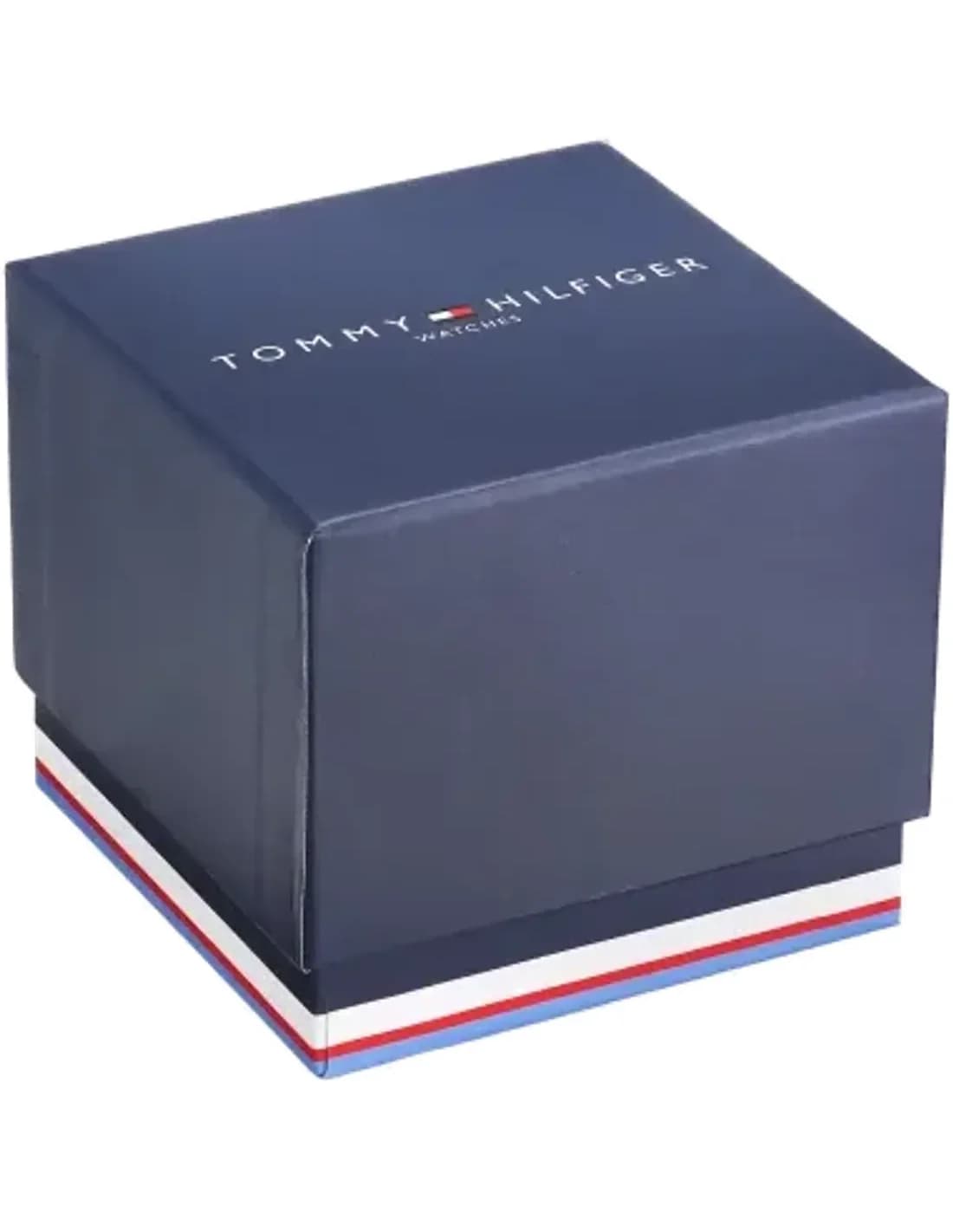 Montre Homme Tommy Hilfiger Denim 1791479