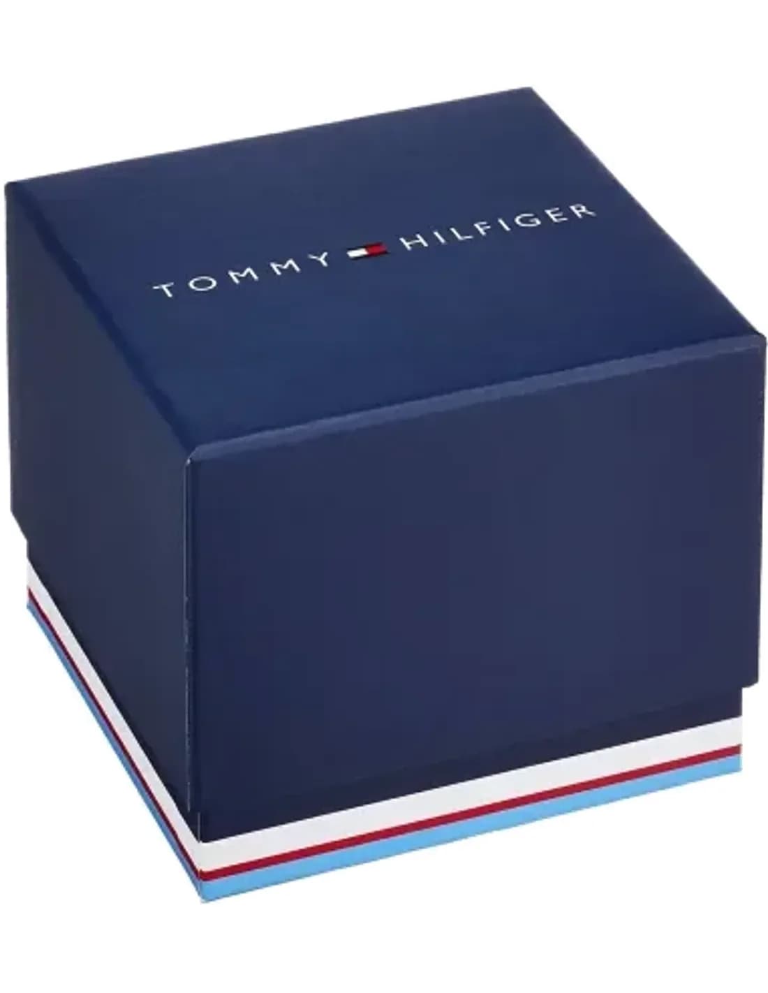 Montre Homme Tommy Hilfiger Icon 1791594