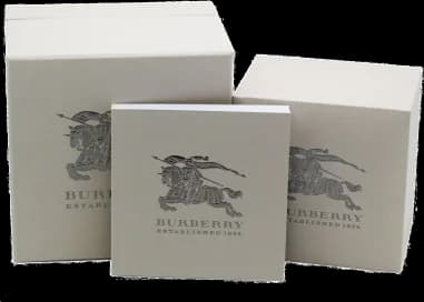 Montre Femme Burberry Swiss Haymarket BU9111