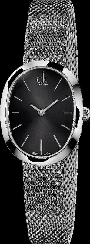 Calvin Klein K3P23121 Silver Milanese Mesh Women's Watch
