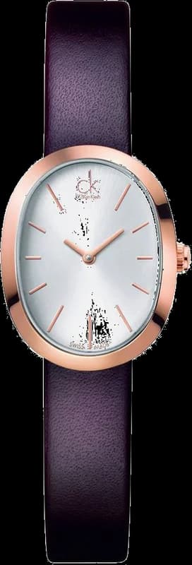 Montre Femme Calvin Klein Incentive K3P236G6 Quartz Cadran Argent Bracelet Cuir Marron