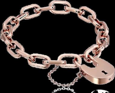Bracelet Michael Kors MKJ4629791 breloque cadenas