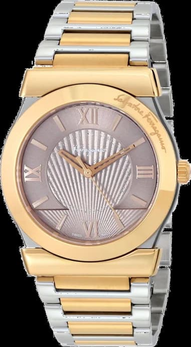 Montre Homme Salvatore Ferragamo Vega FI0020014 Or