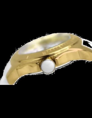 Montre Femme Tommy Hilfiger 1781309 Blanc