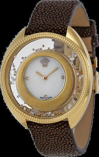 Montre Femme Versace 86Q701MD497S497 Marron