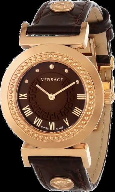 Montre Femme Versace P5Q80D598S497 Marron
