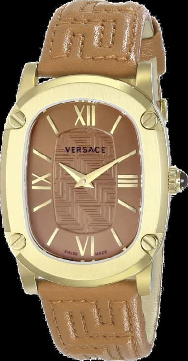 Montre Femme Versace VNB060014 Marron
